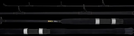Daiwa 22 BG Bluewater