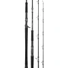 Daiwa 25 Leobritz DG Overhead Rod