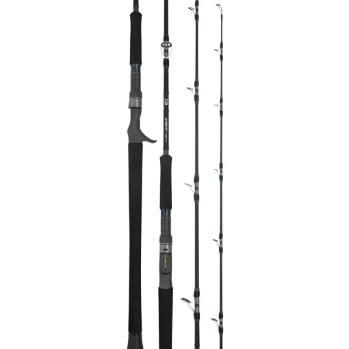 Daiwa 25 Leobritz DG Overhead Rod
