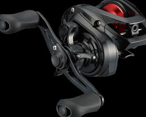 Daiwa 21 PR100 Baitcast reel