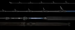 Daiwa 21 Saltiga Tournament