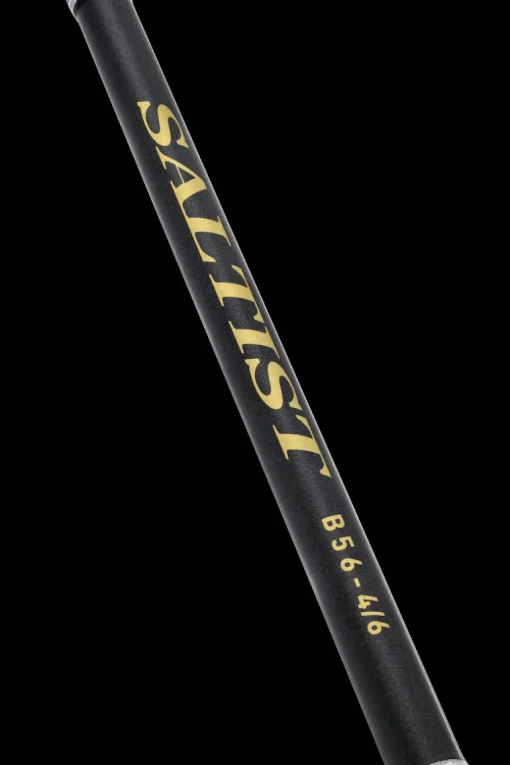 Daiwa 23 Saltist