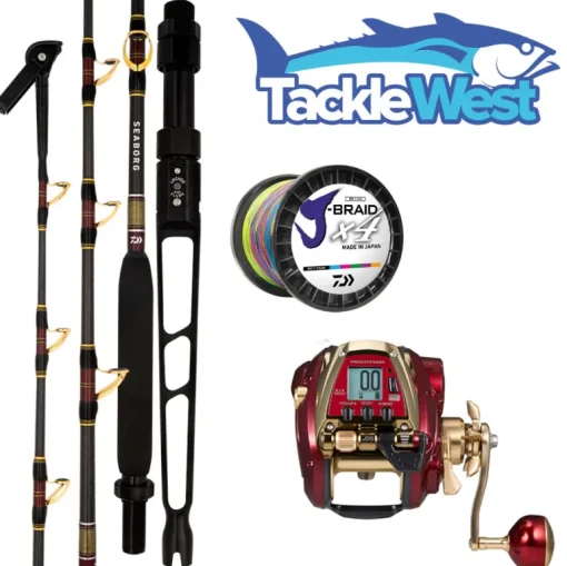Daiwa 24 Seaborg 800 Combo