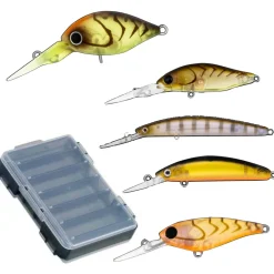 Daiwa Bream Starter Pack