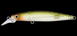 Daiwa Infeet Sazanami 60SP