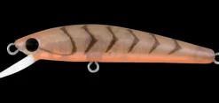 Daiwa Presso Minnow 60F