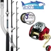 Daiwa Seaborg 800 Saltist Combo