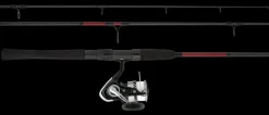 Daiwa TD Combo