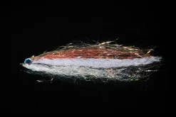 Manic Anchovy 2