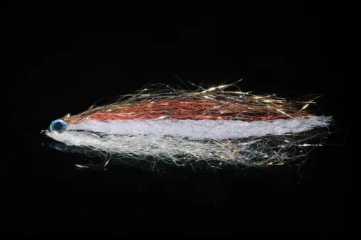 Manic Anchovy 2