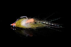 Manic Spawning Shrimp 4