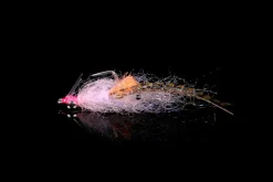 Manic Spawning Shrimp 4