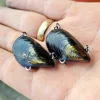 Outback Breamer Mussel Clicker Light 4.8g
