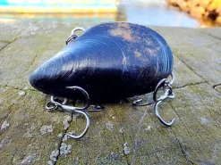 Outback Breamer Mussel Upgrader 8g