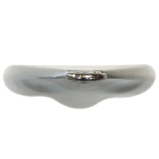 Palms Slow Blatt Cast Oval