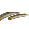 Raid Super Fish Roller 5