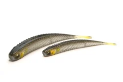 Raid Super Fish Roller 5