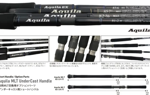 Ripple Fisher Aquila