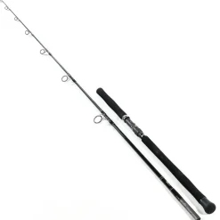 Ripple Fisher Aquila
