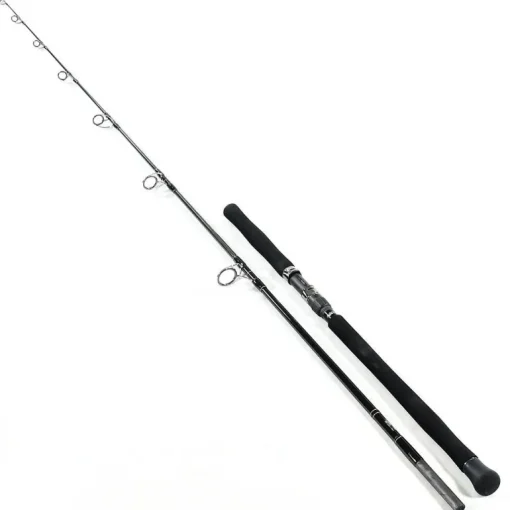 Ripple Fisher Aquila