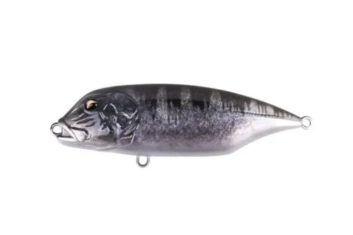 Toughfia GT Swimmer 150SS