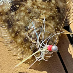 Vexed Buckabou Jig Wig 5-pack