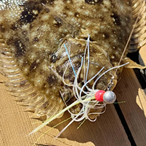 Vexed Buckabou Jig Wig 5-pack
