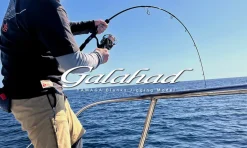 Yamaga Blanks Galahad