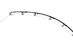 Zenaq Defi Muthos Accura Type R