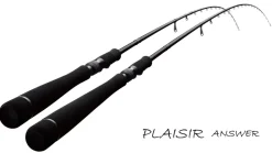 Zenaq Plaisir Answer